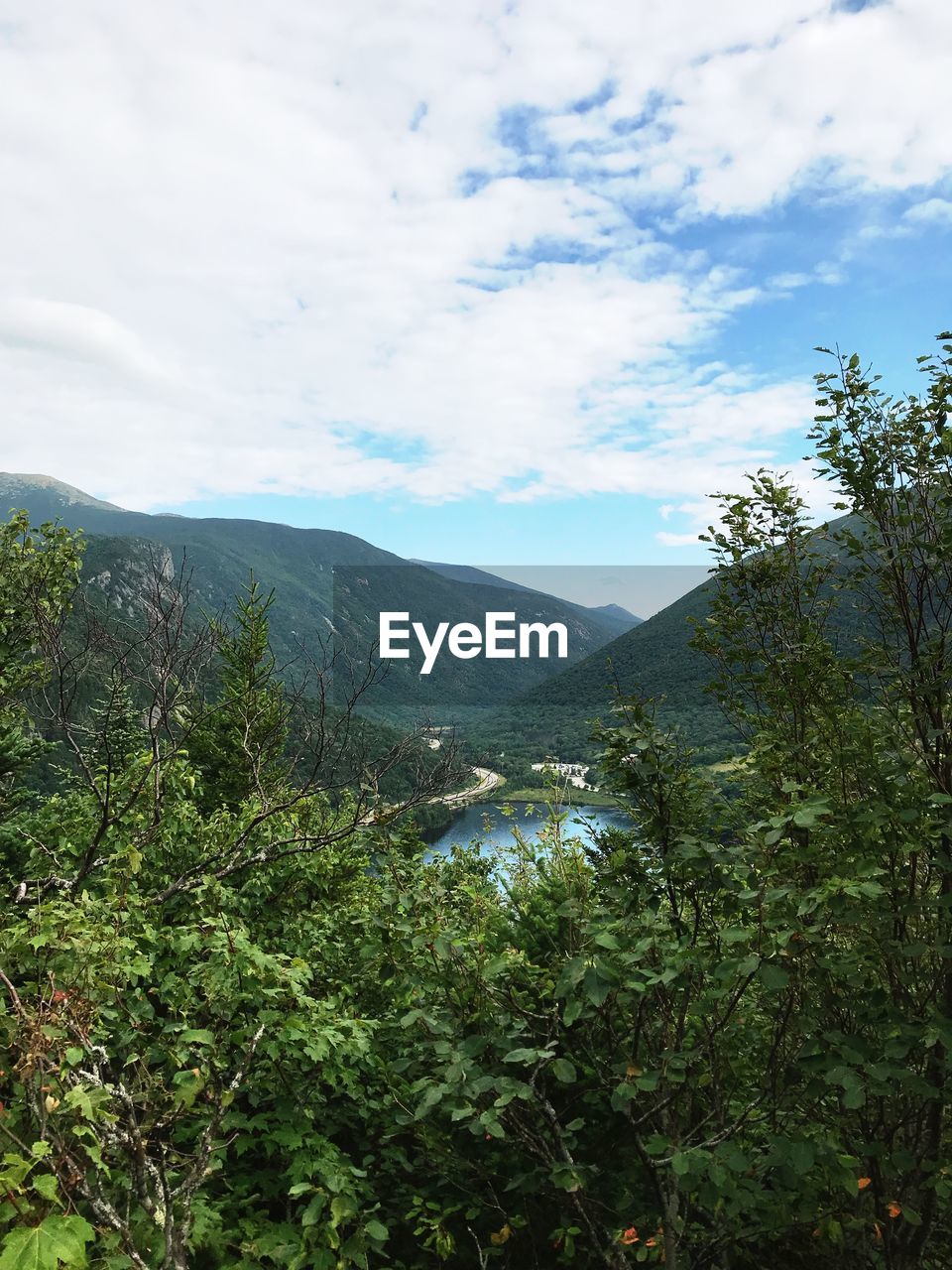 SCENIC VIEW OF TREES AND MOUNTAINS AGAINST SKY