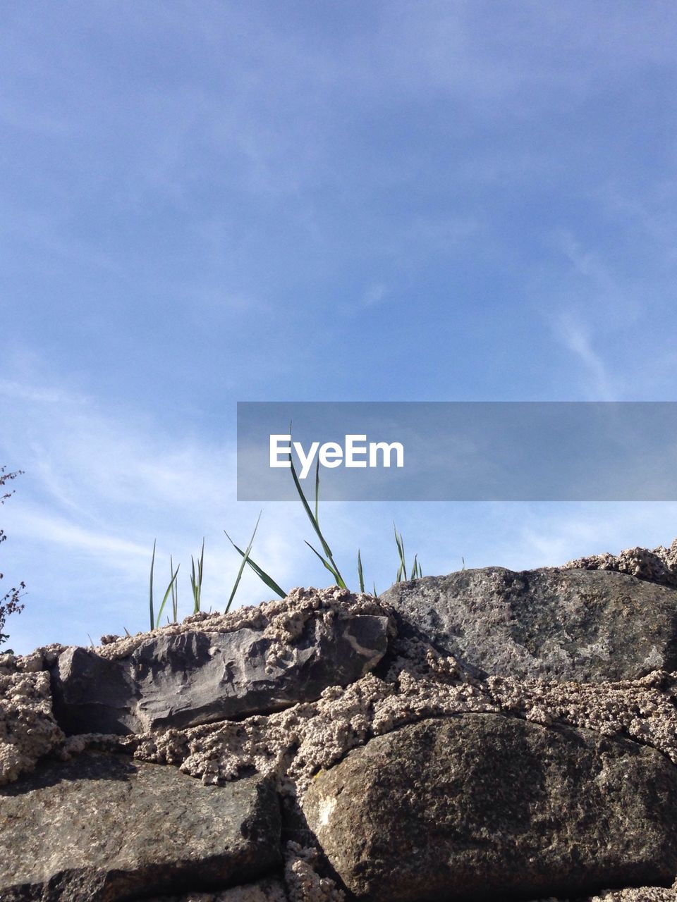 CLOSE-UP OF LIZARD ON ROCK AGAINST BLUE SKY