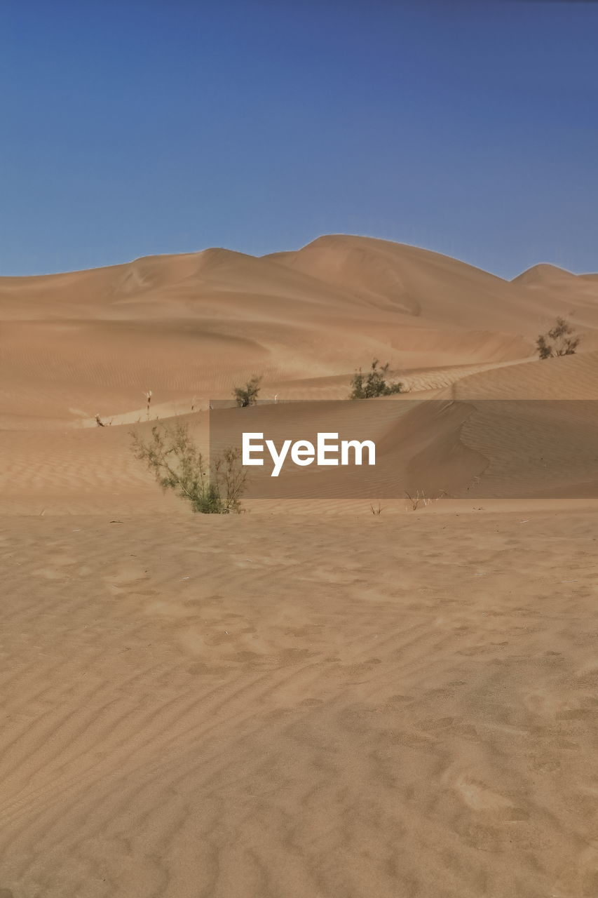 0230 moving sand dunes cover the surface of the taklamakan desert. yutian keriya cty.-xinjiang-china