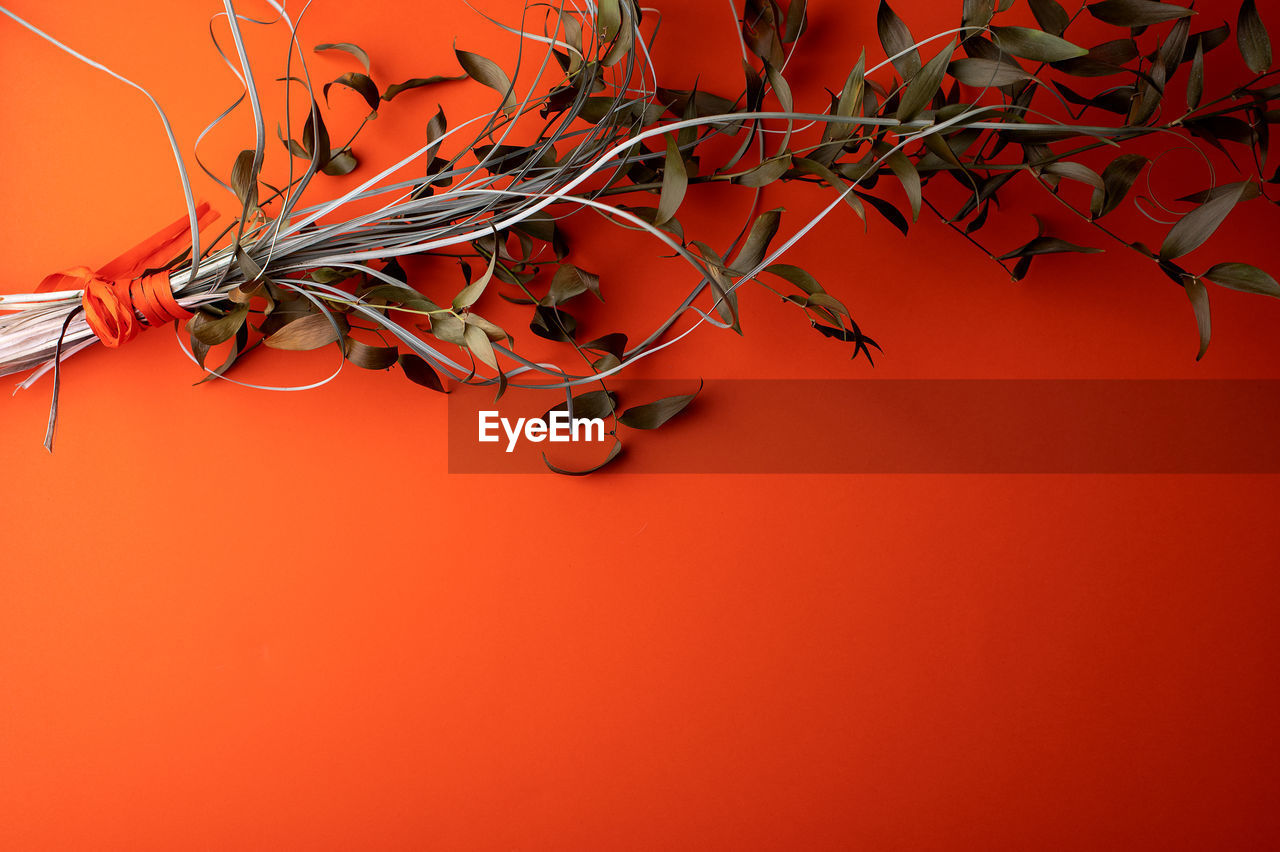 Composition of dry twigs and leaves on orange background with copy space