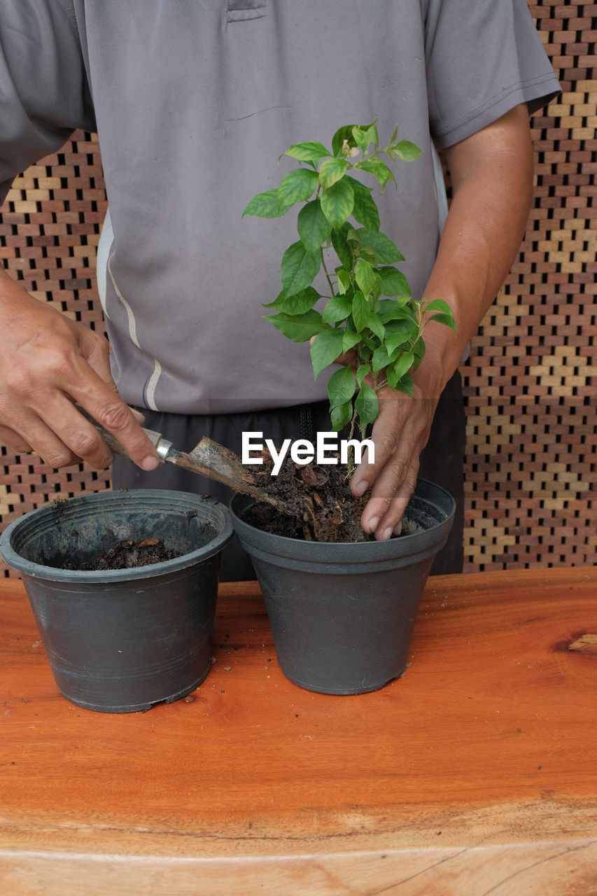 midsection of woman holding potted plant on table