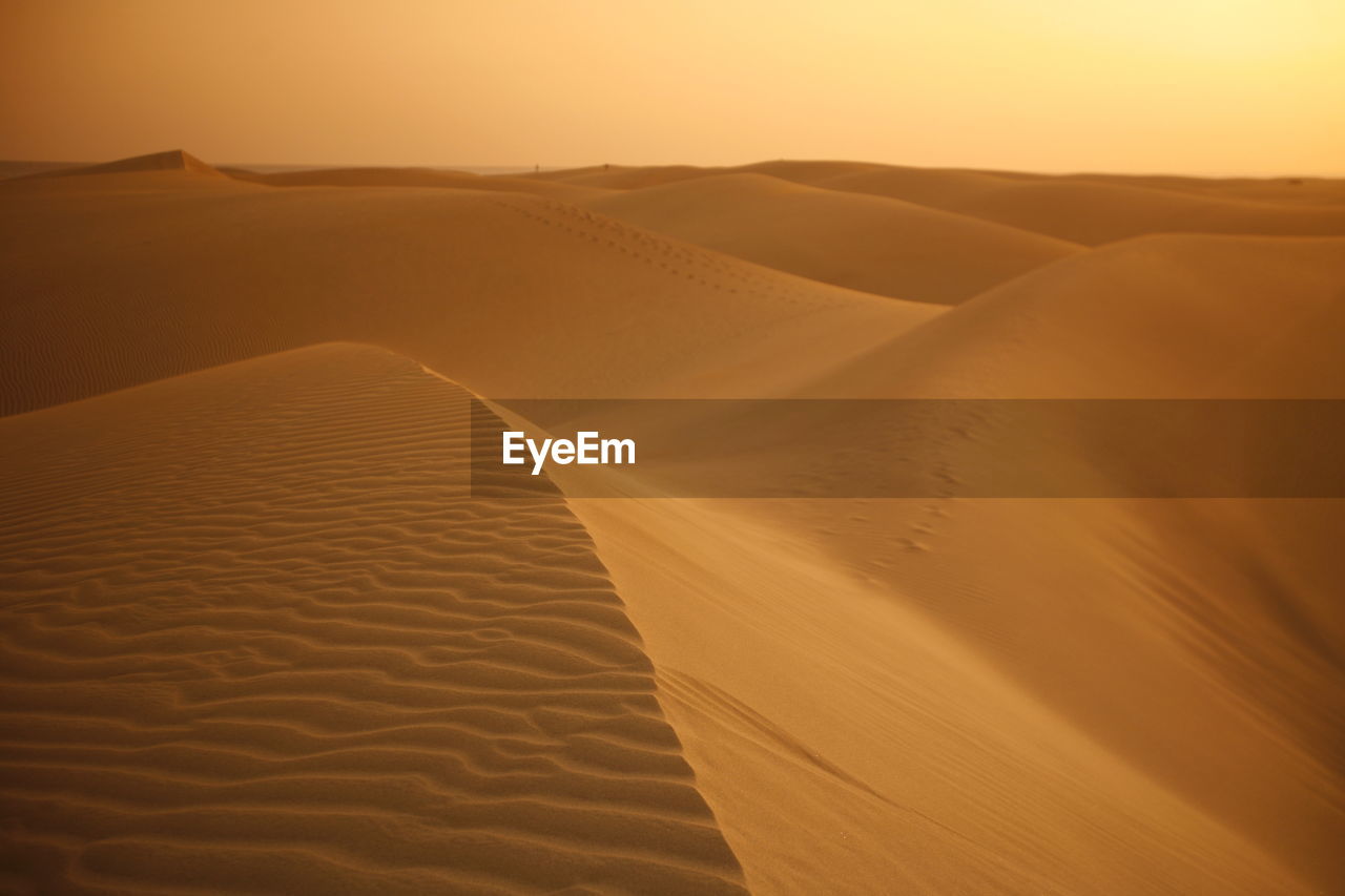 Scenic view of sand dunes at desert against sky