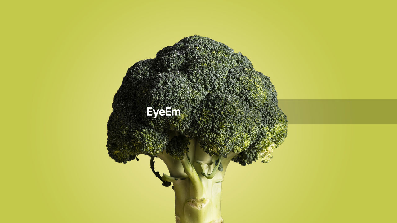 Close-up of broccoli against green background