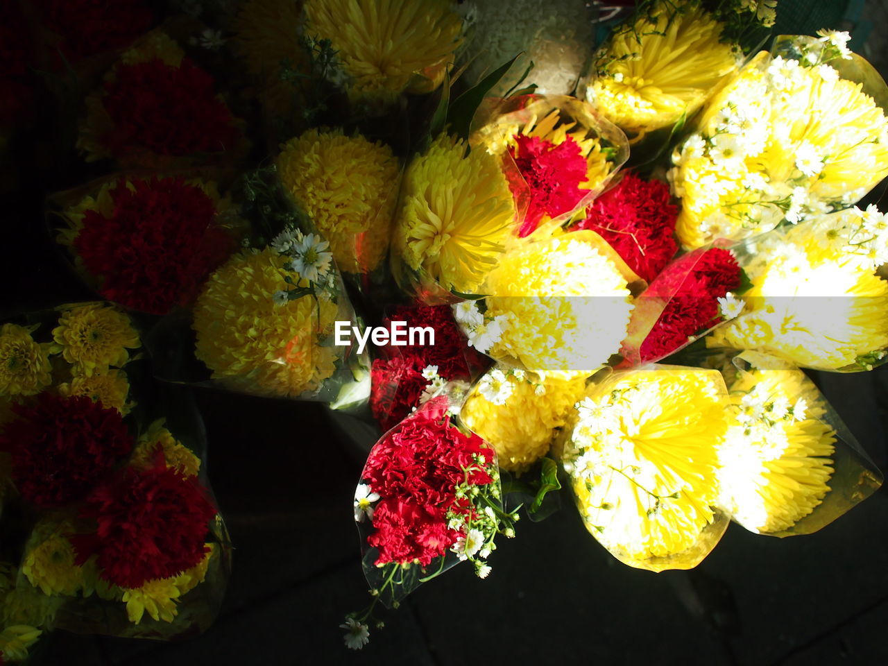 CLOSE-UP OF YELLOW FLOWERS