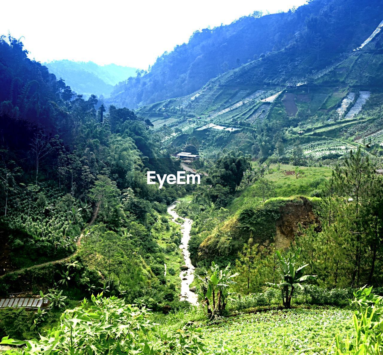 SCENIC VIEW OF LANDSCAPE