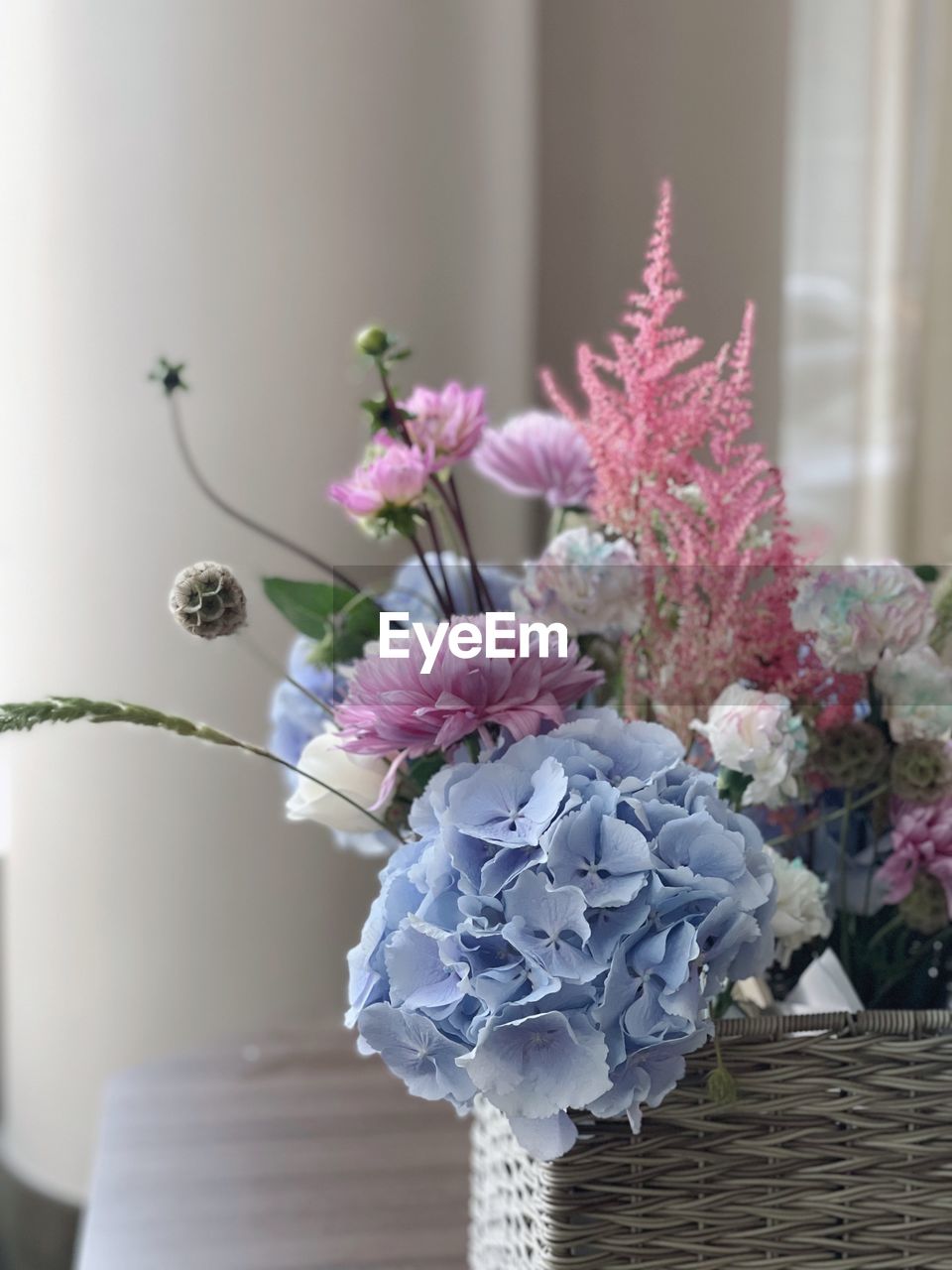 Close-up of pink flowers in vase