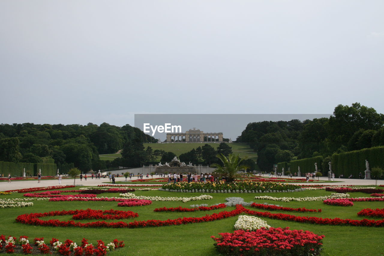 SCENIC VIEW OF GARDEN AGAINST CLEAR SKY