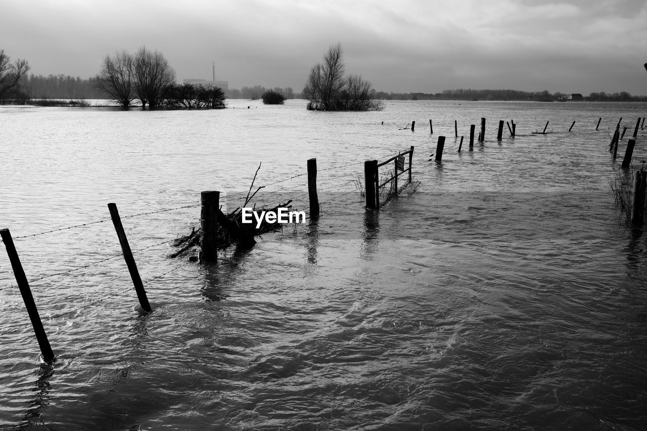 WOODEN POSTS IN LAKE