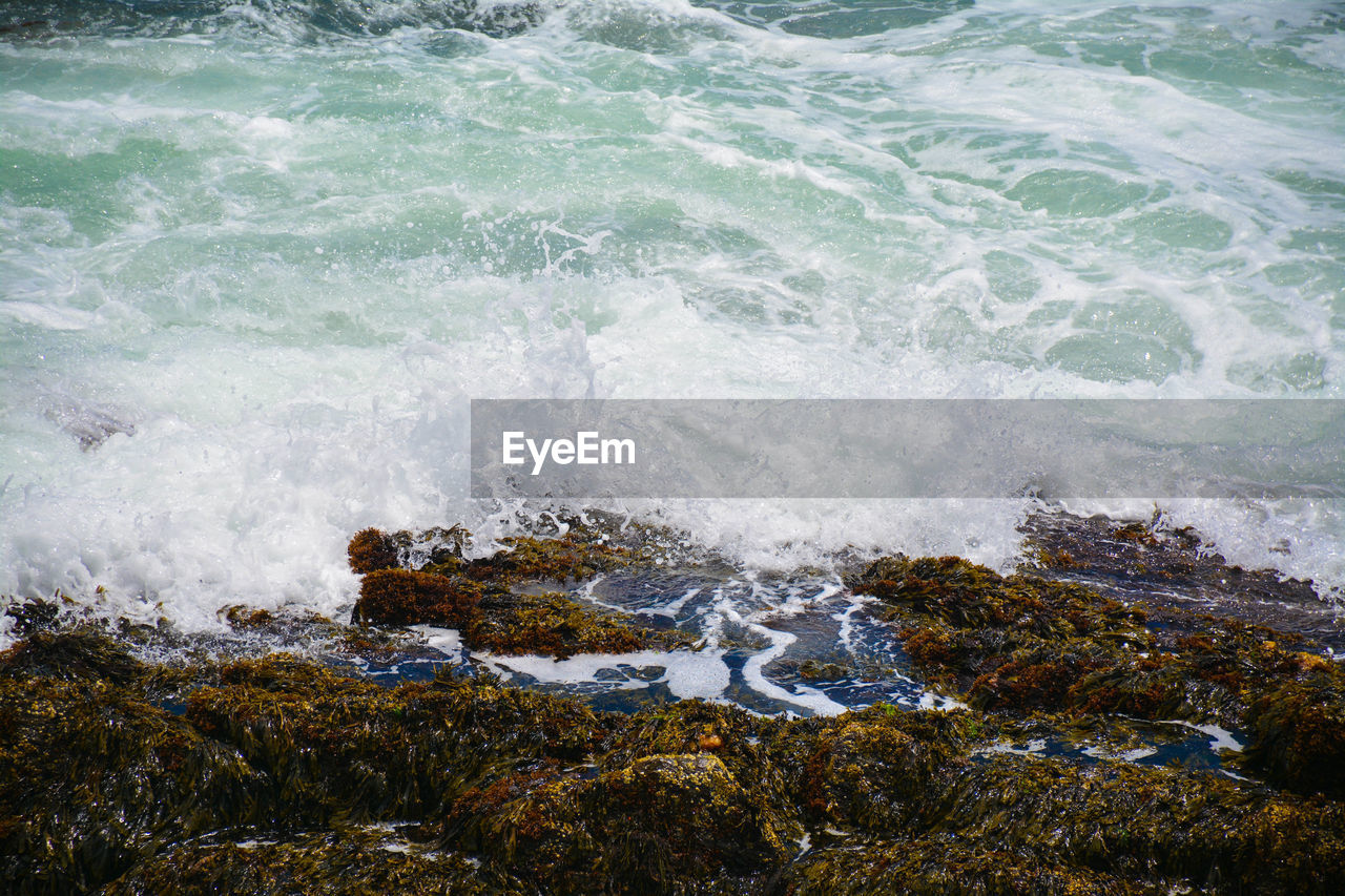 SCENIC VIEW OF SEA WAVES