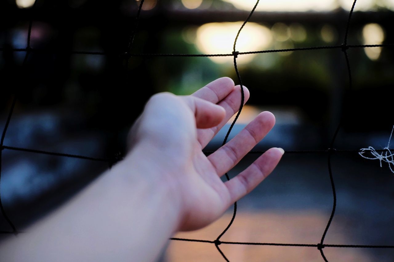 Cropped hand of person by netting