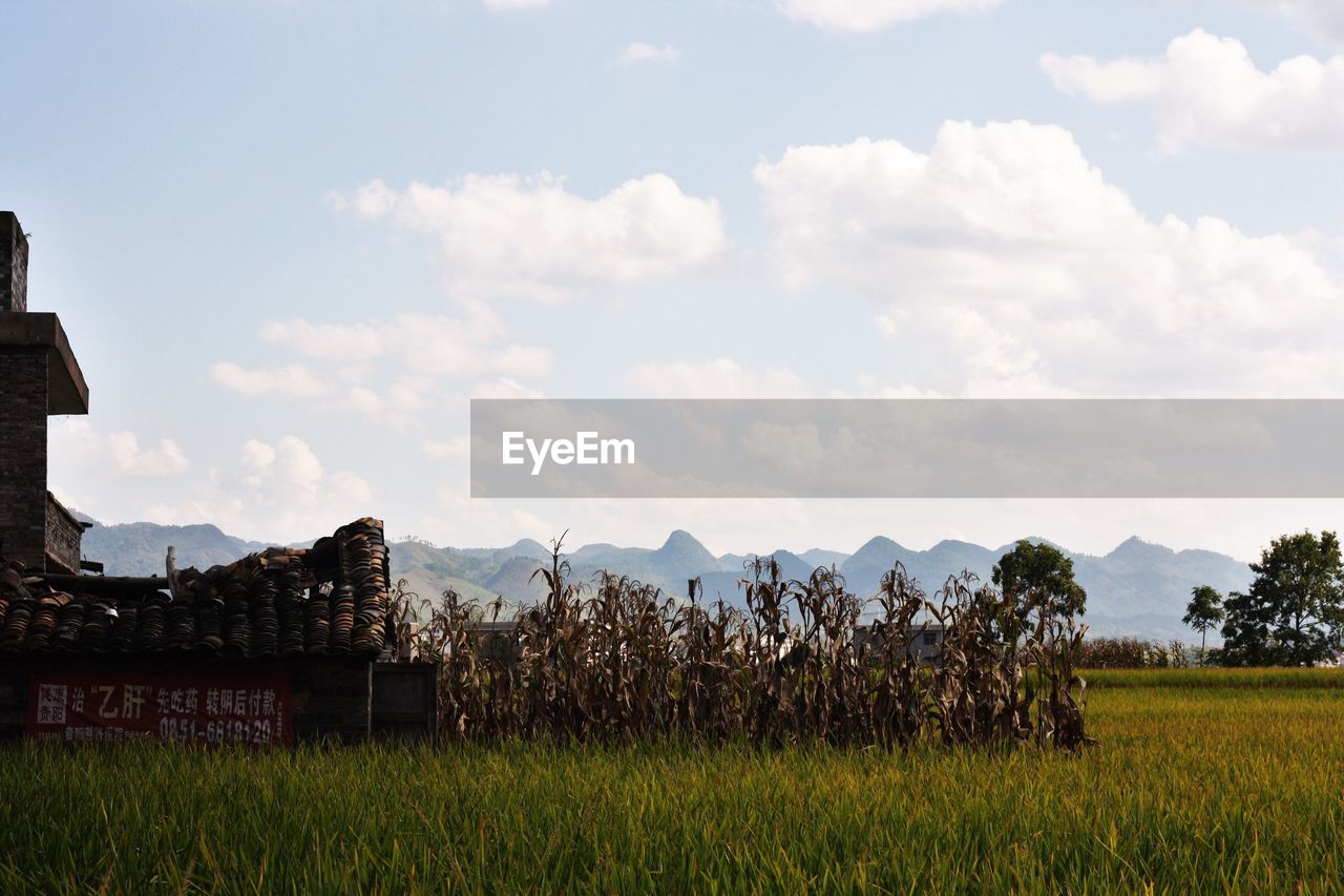 Scenic view of farm against sky