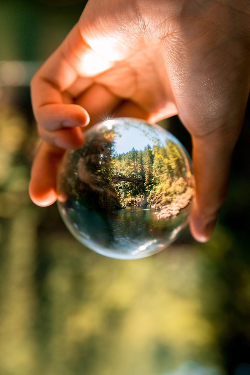 cropped hand of person holding crystal ball