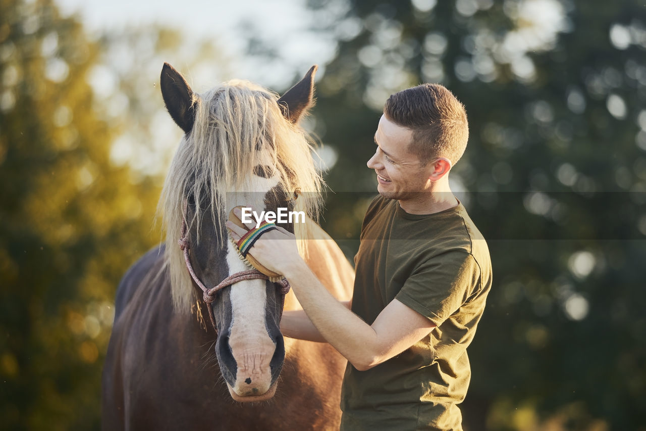 Man during grooming horse on sunny summer day. close-up of hand while brushing of horse.