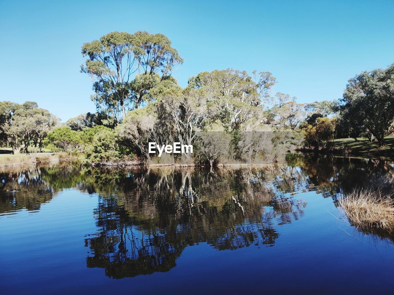 SCENIC VIEW OF LAKE AGAINST BLUE SKY