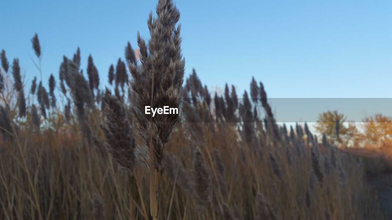 Scenic view of field against cloudy sky