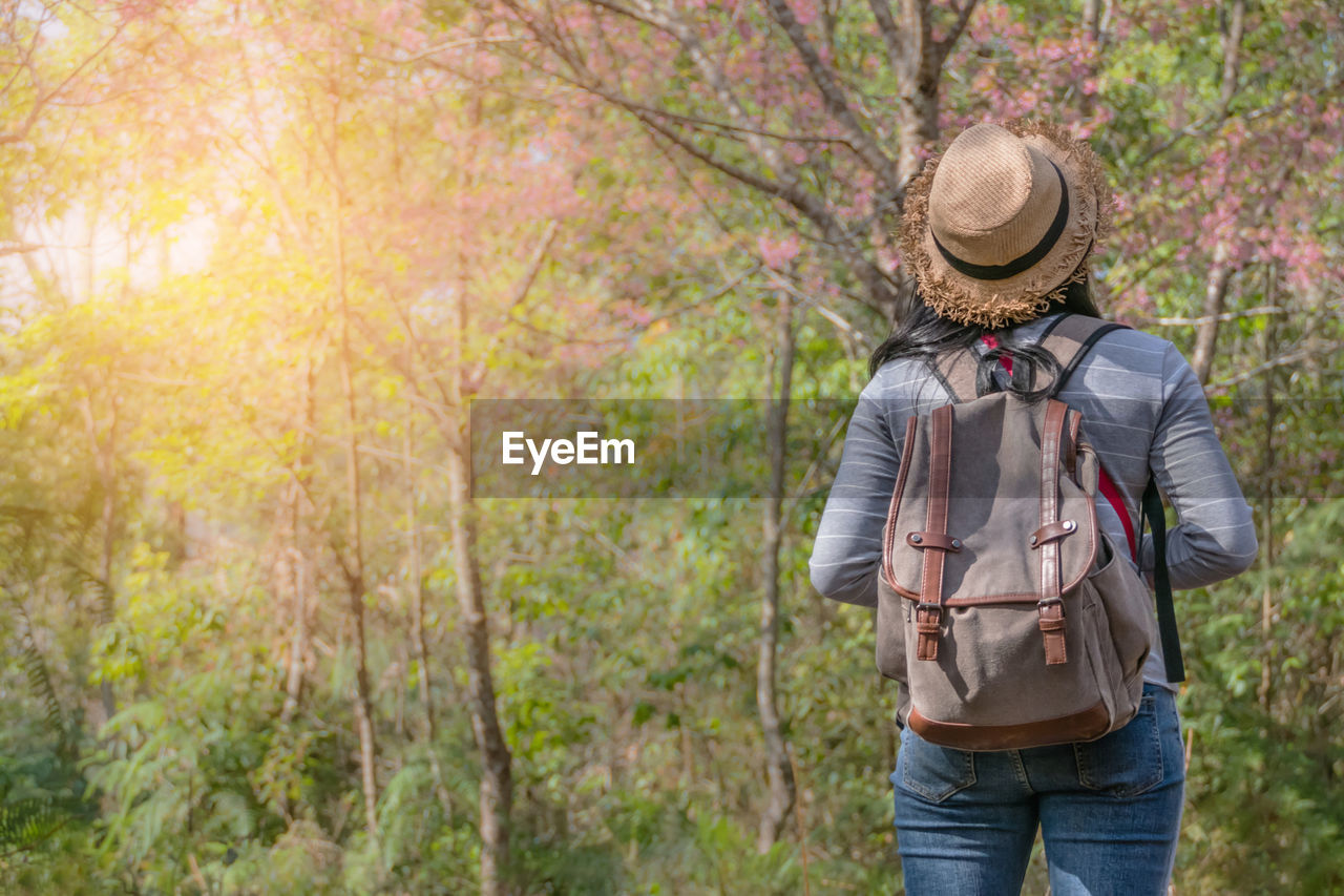 Rear view of woman hiking in forest