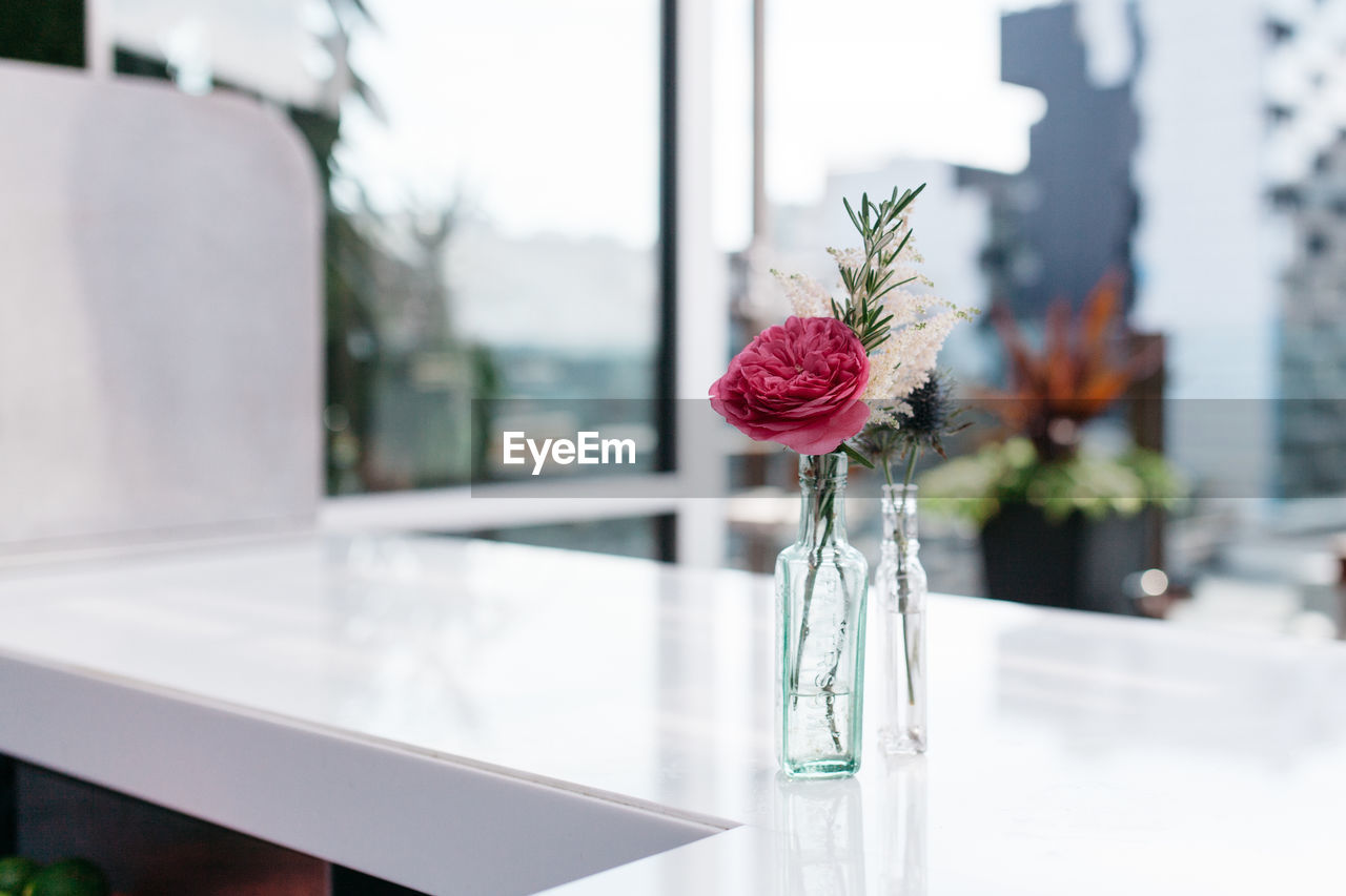 Peony flower in glass vase on table at home