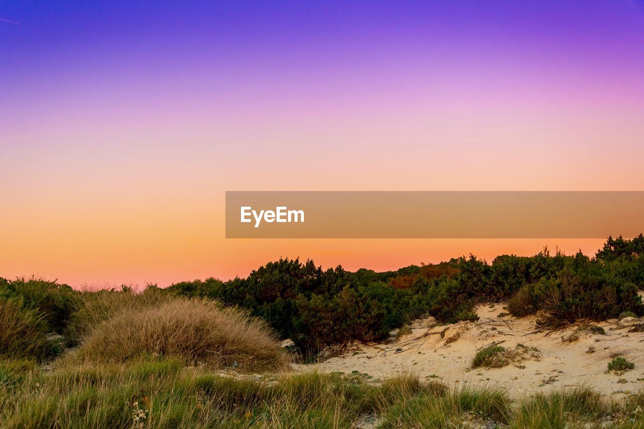 Scenic view of landscape against clear sky during sunset