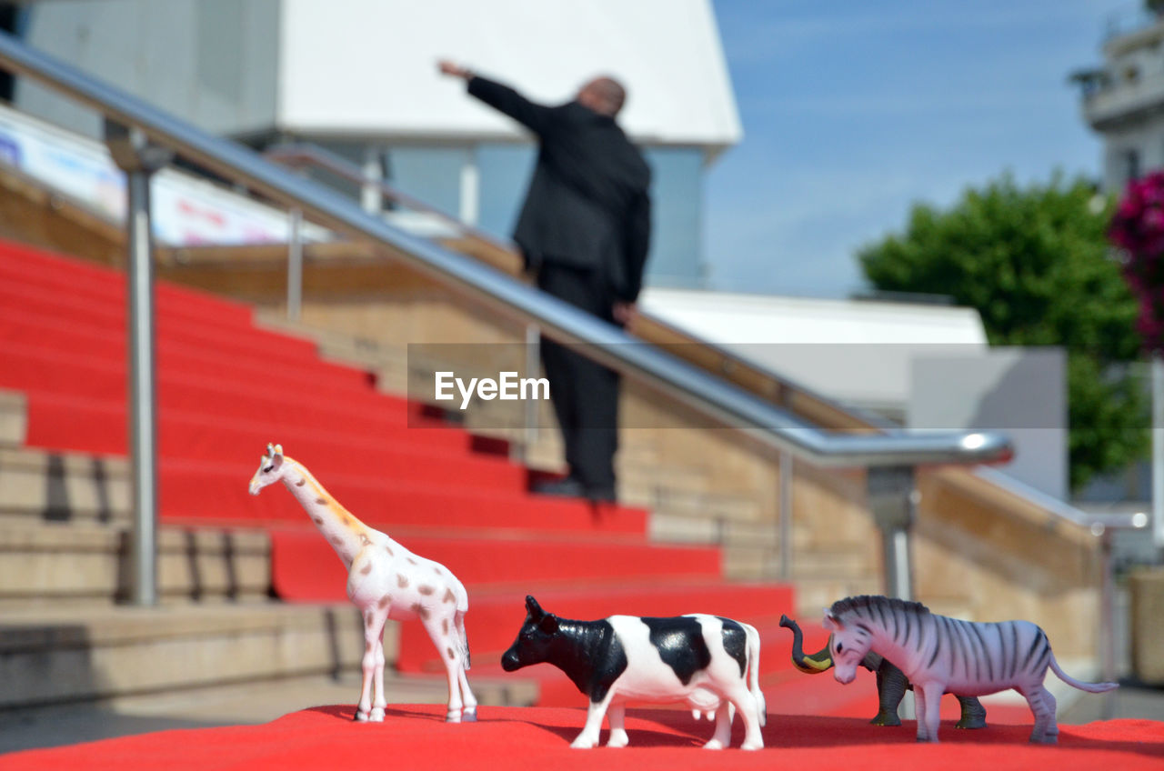 Upstairs of cannes film festival