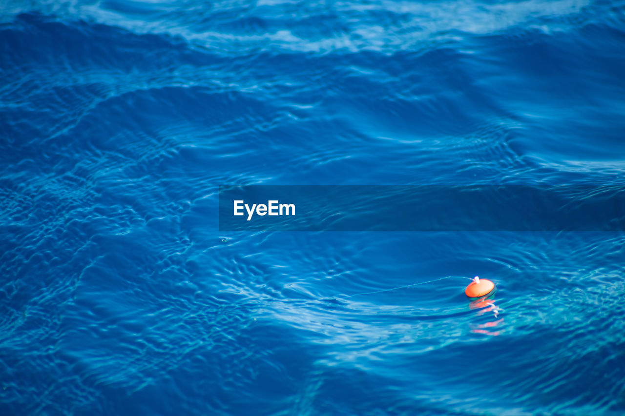 high angle view of swimming in water