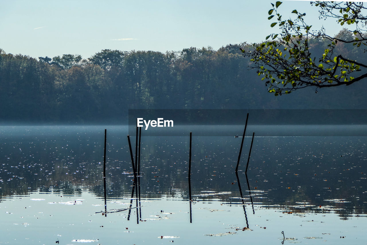 Scenic view of lake by trees during winter