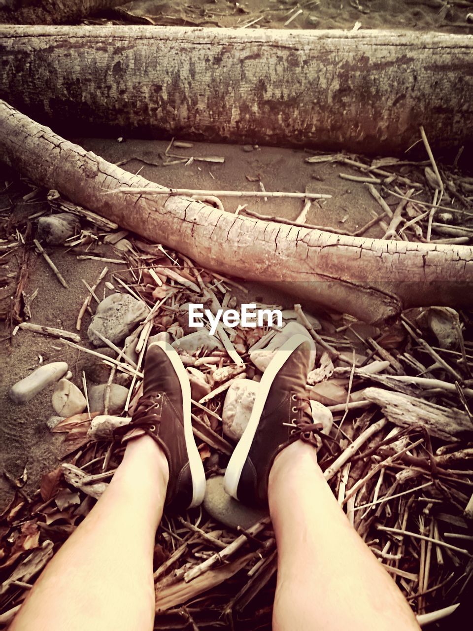 LOW SECTION OF WOMAN LEGS ON BARE TREE