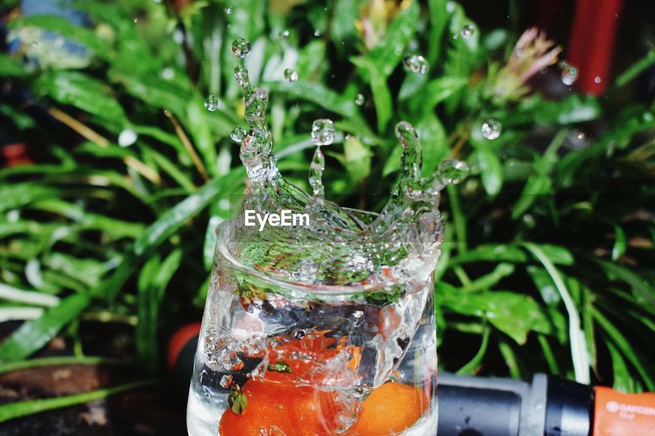 CLOSE-UP OF GLASS OF WATER