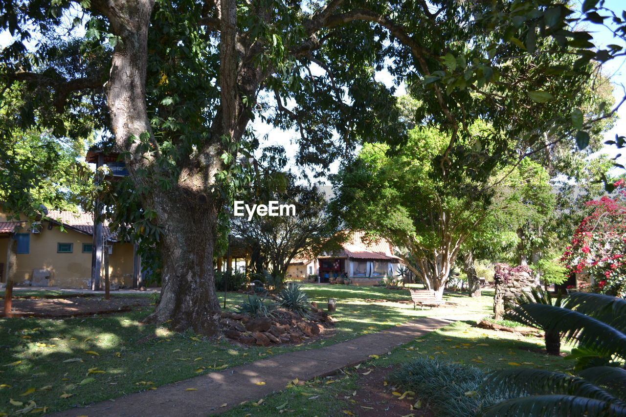 TREES AND HOUSE AGAINST SKY