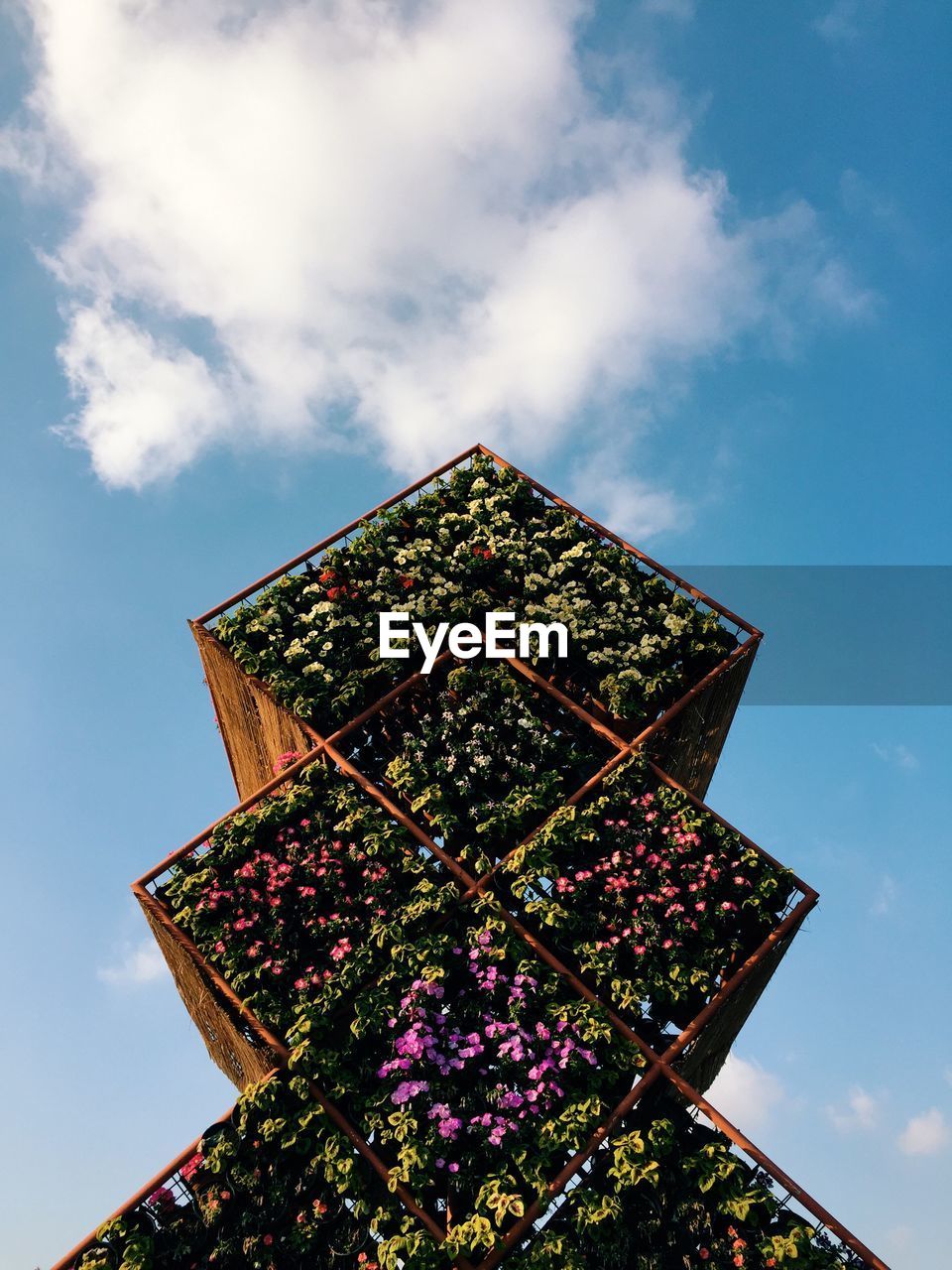 Built structure covered with flowers against sky