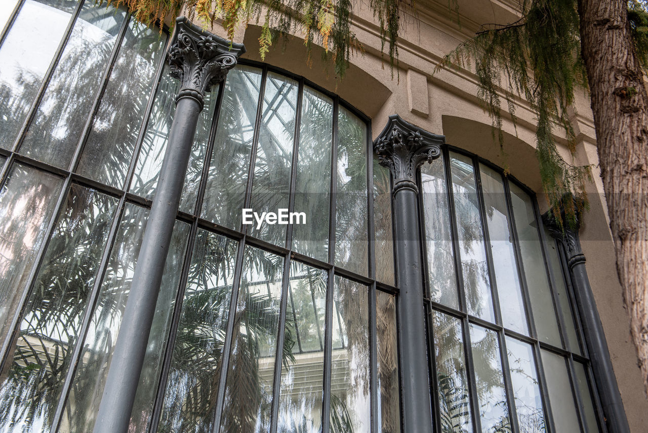 LOW ANGLE VIEW OF GLASS WINDOW OF BUILDING