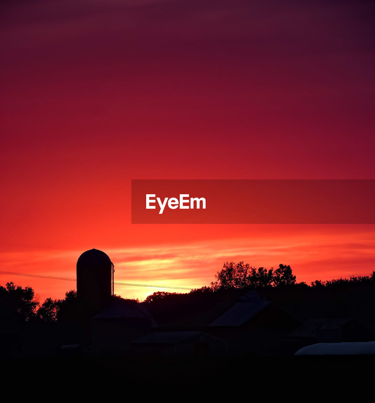 SILHOUETTE OF TREES AT SUNSET