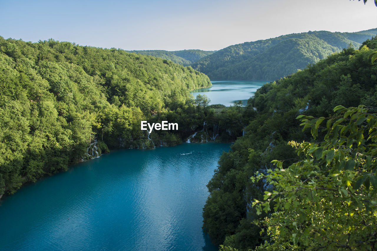 Scenic view of river in forest against sky