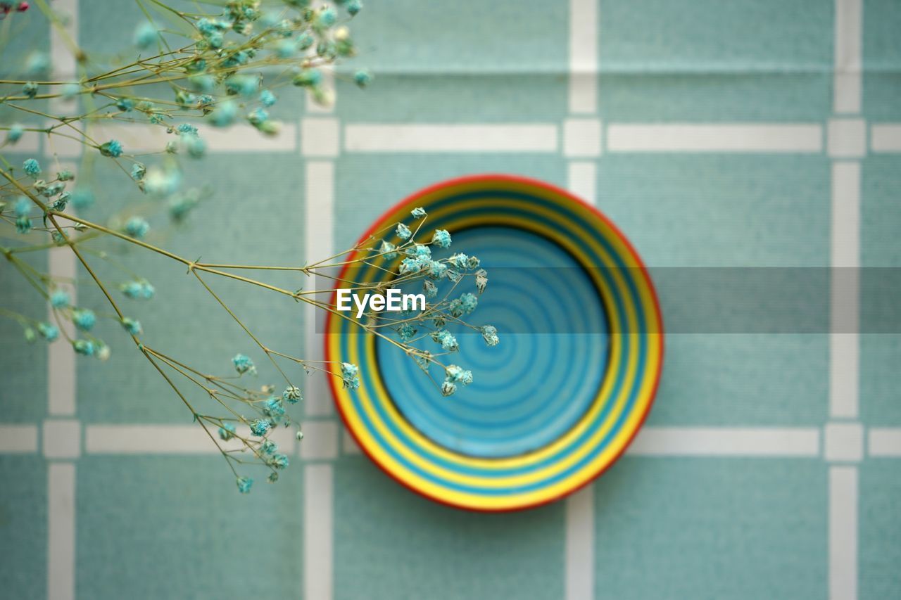 High angle view of flowers over bowl at home