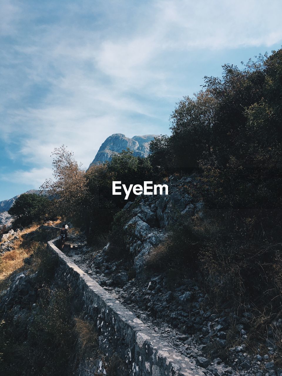SCENIC VIEW OF WATERFALL BY TREES AGAINST SKY