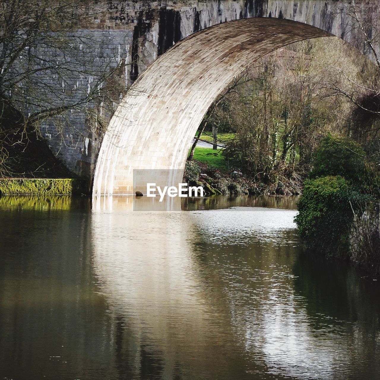 View of canal passing through a forest