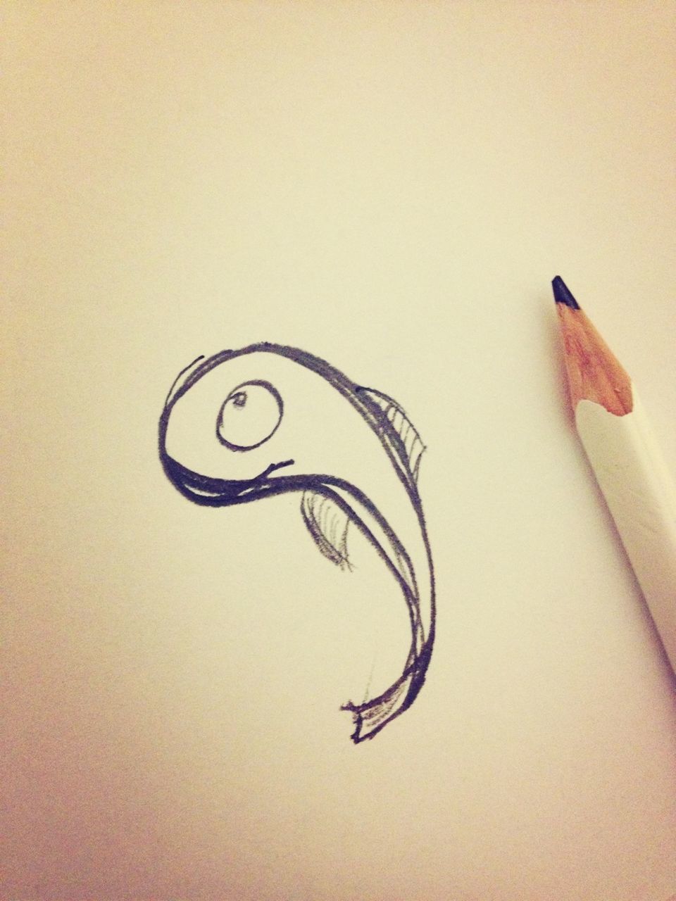 Pencil by drawing of fish on white surface