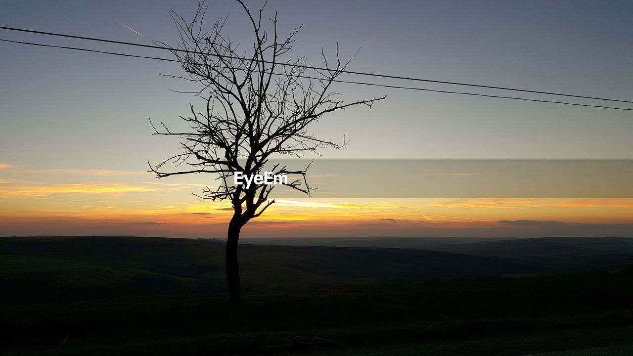 Low angle view of silhouette bare tree on field against sky during sunset