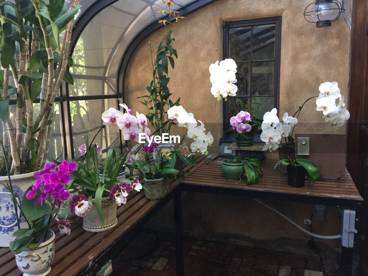Potted flowers on table in greenhouse