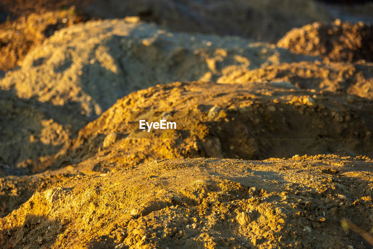 CLOSE-UP OF LICHEN ON ROCK