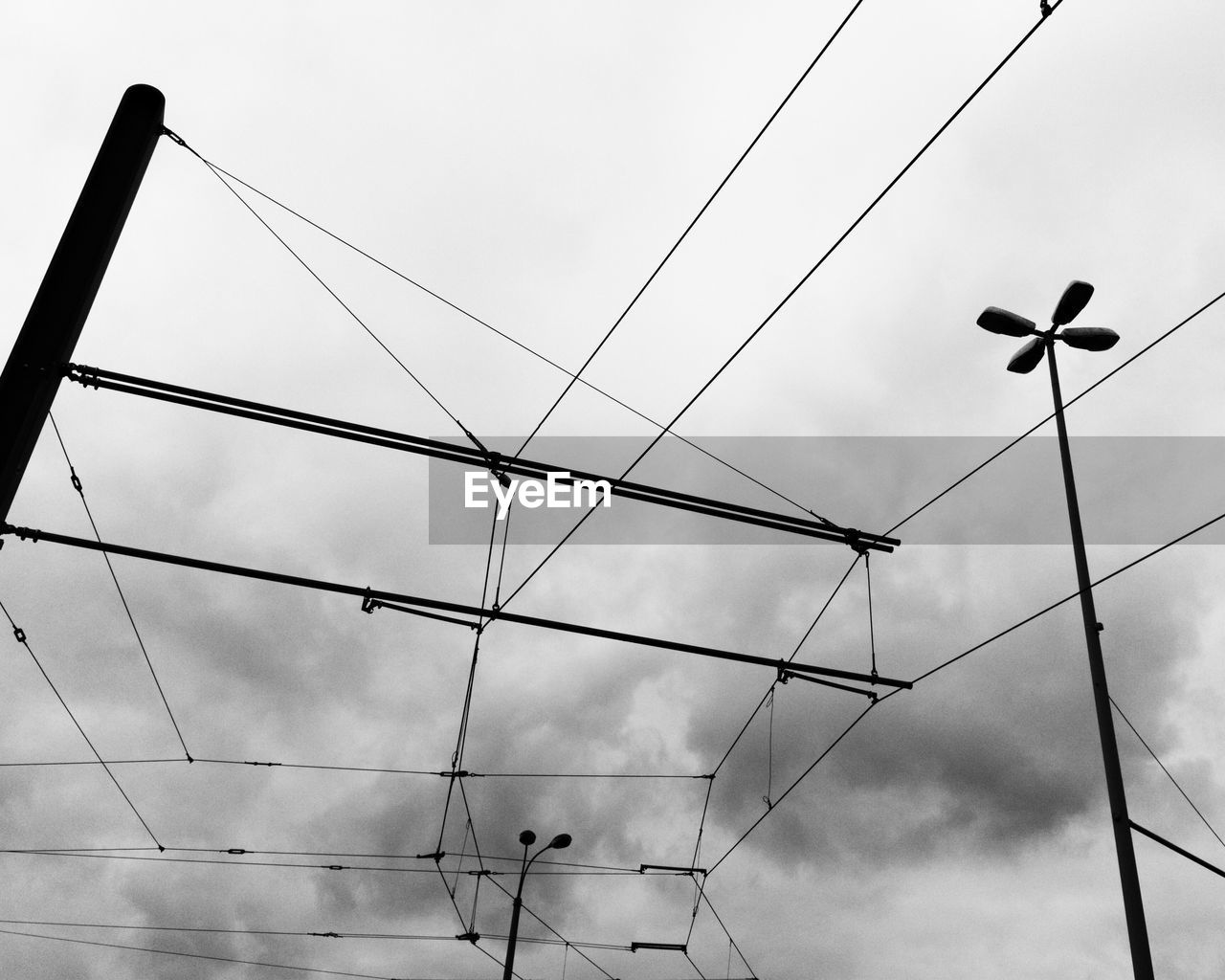 LOW ANGLE VIEW OF BIRDS FLYING AGAINST SKY