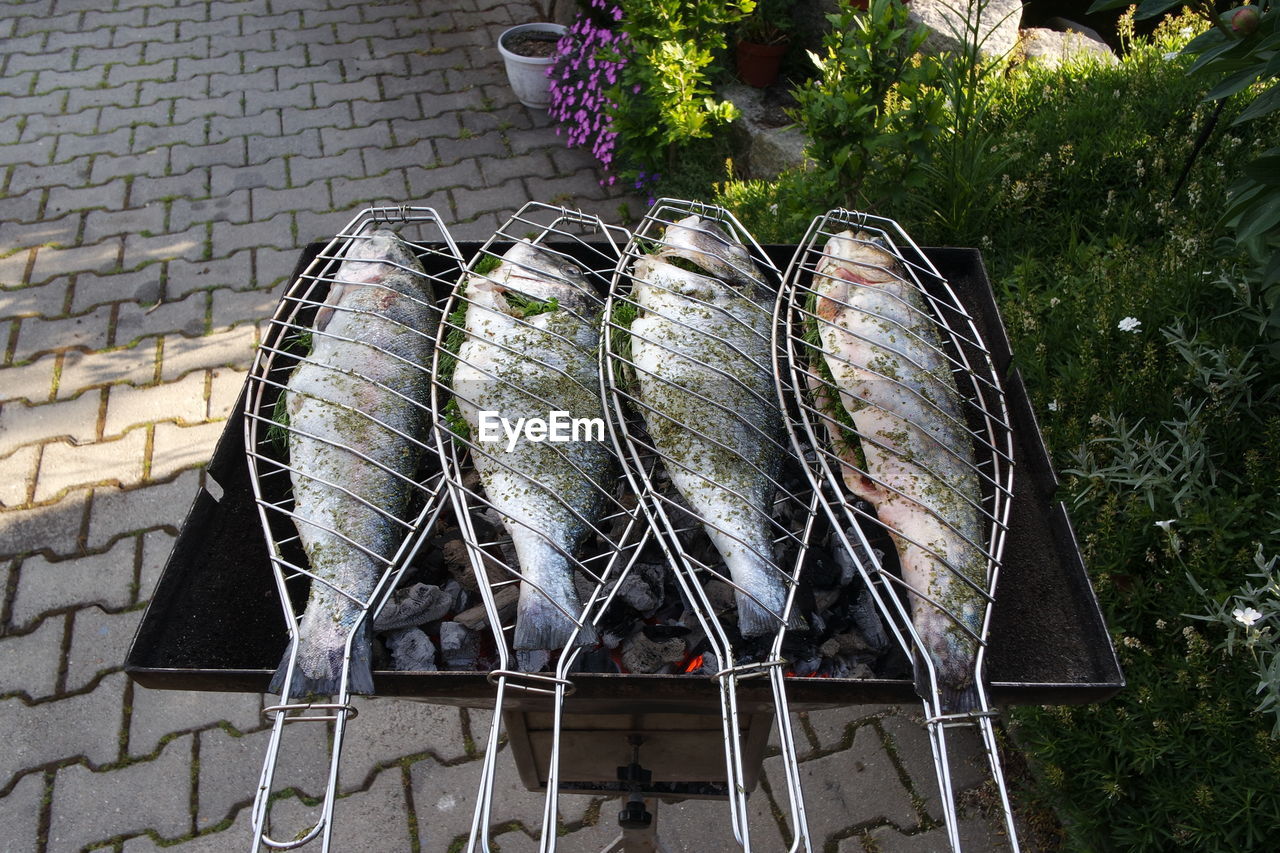 High angle view of grilled fish on barbecue