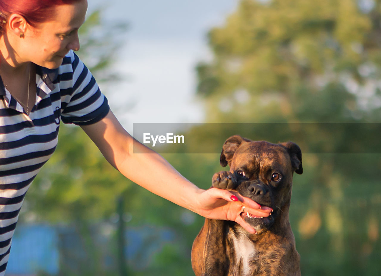 PORTRAIT OF DOG LOOKING AT CAMERA