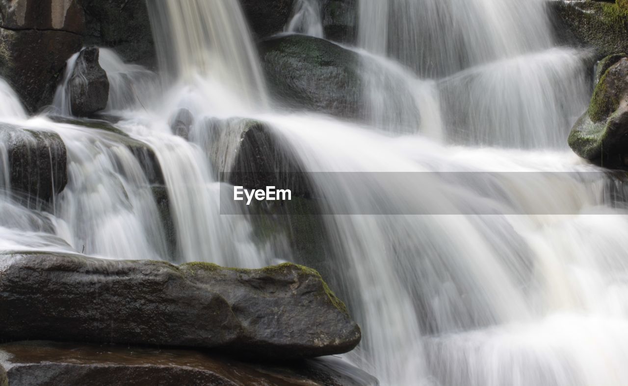 WATERFALL IN THE FOREST