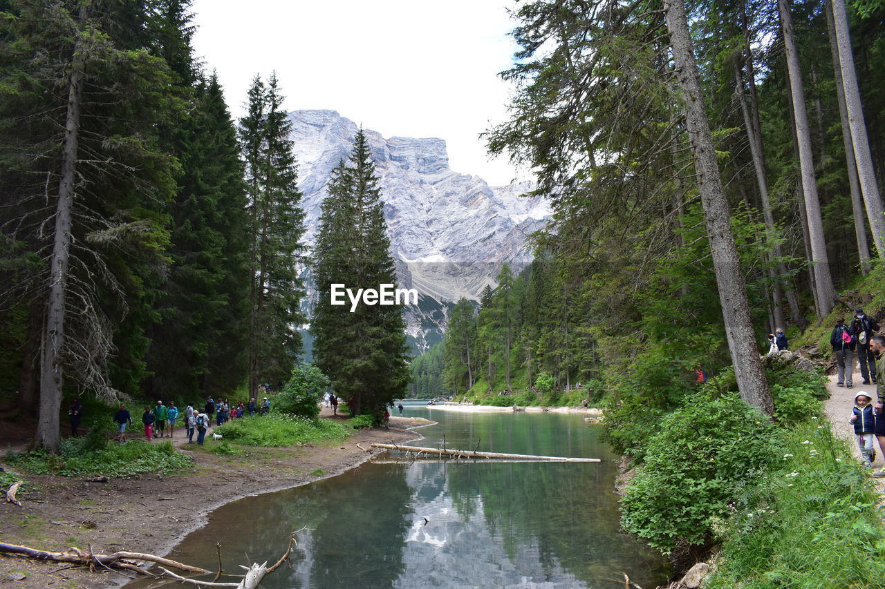 SCENIC VIEW OF WATERFALL