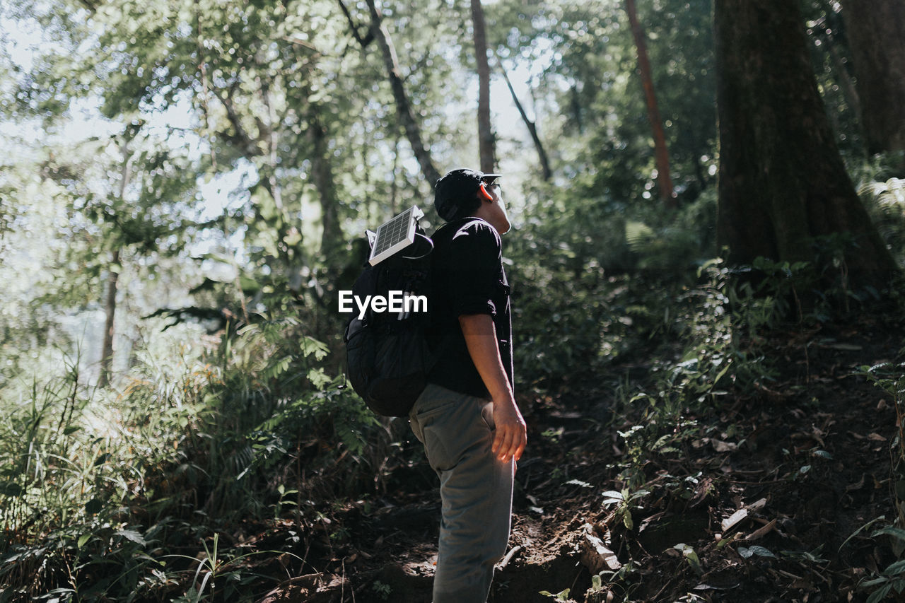 Hiker standing amidst trees at forest