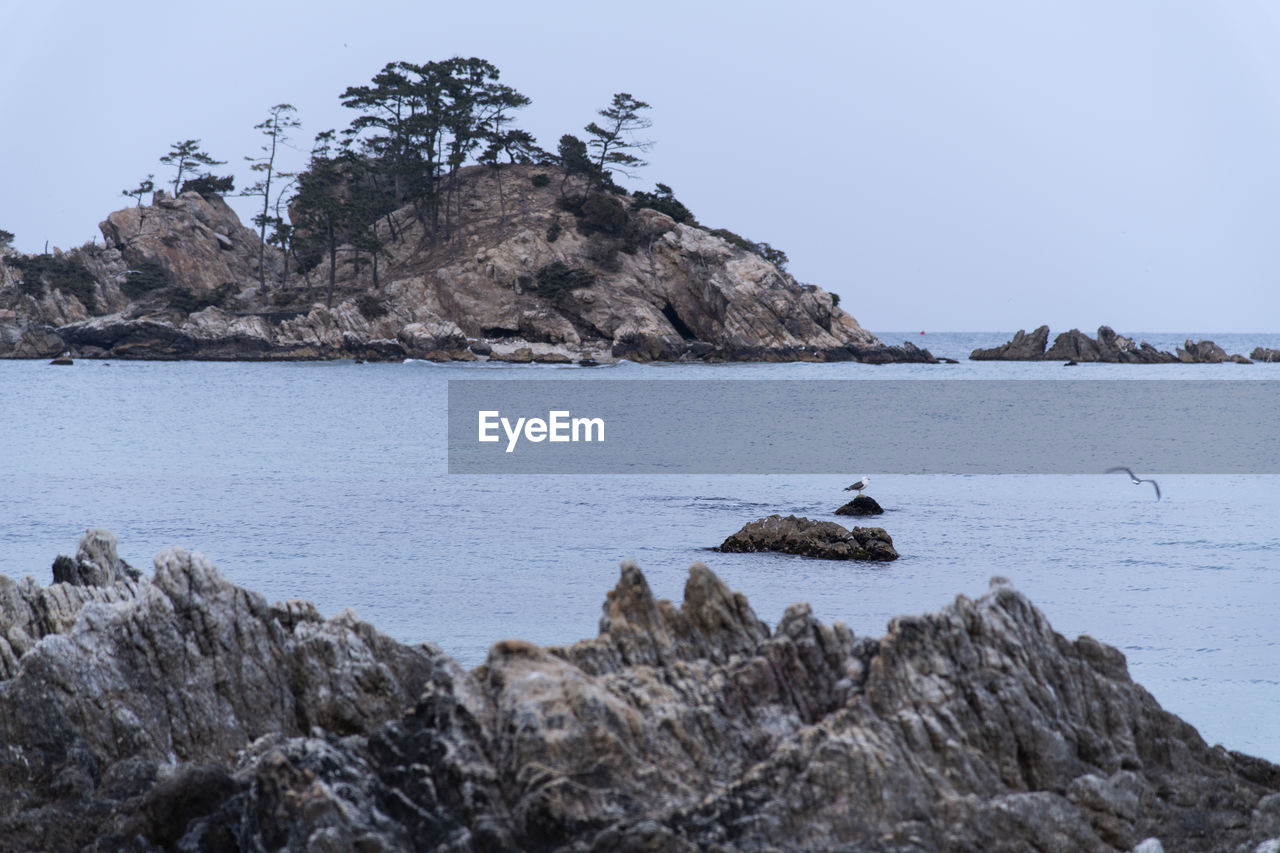 Birds on rock by sea against sky