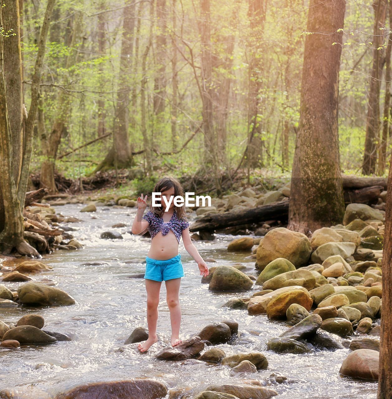 Full length of woman standing on rock in forest