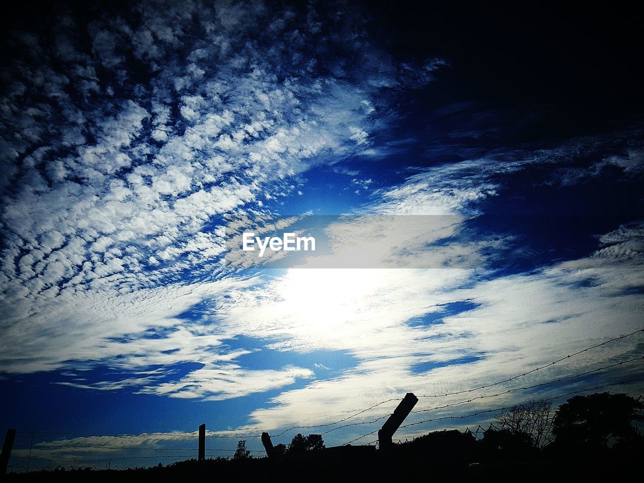 LOW ANGLE VIEW OF TREES ON WATER AGAINST SKY