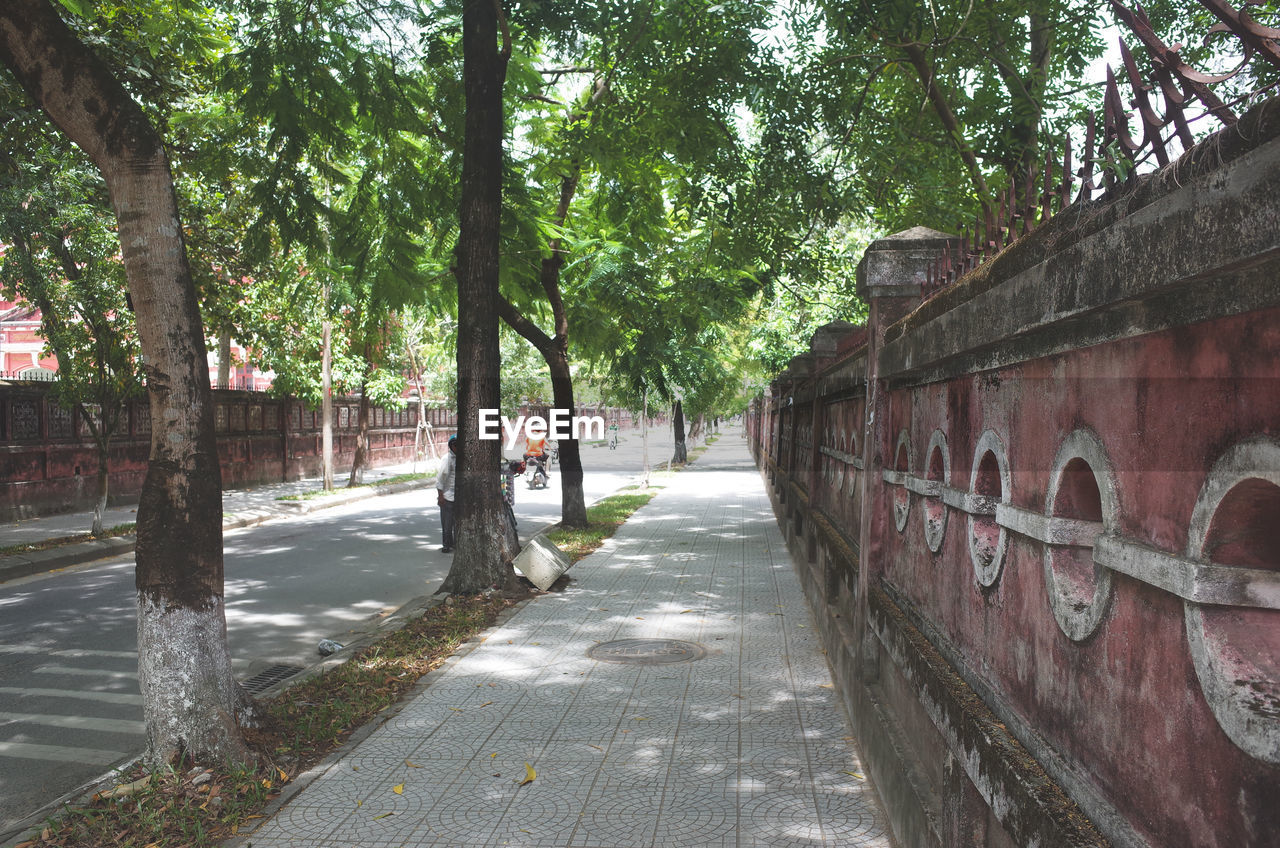 SIDEWALK BY TREES IN CITY