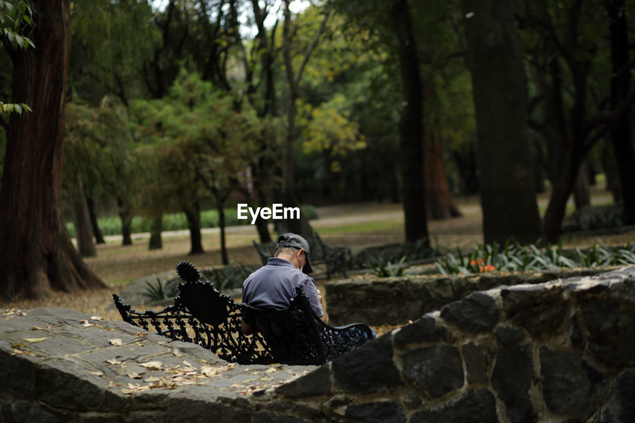 MAN SITTING ON ROCK AT FOREST